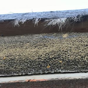 IMG_20220121_082529_copy_1843x1382_copy_1843x1382