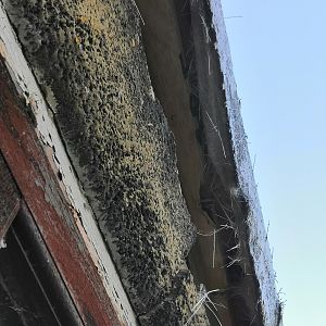 IMG_20220121_082511_copy_1843x2457_1