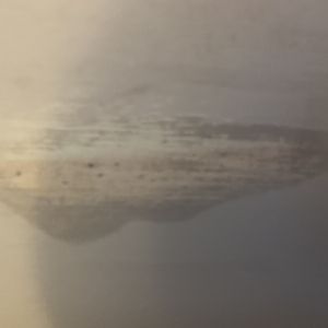 618EB0C6-B6FD-4751-8806-E712693DB462