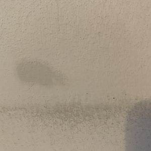 CC93B30E-D76E-429C-843C-BBC6E9EA9BA3