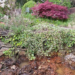 4CE4D4D6-21D6-470D-BBB4-366C6F6A8D0C