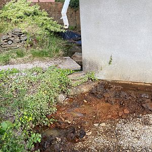 B6841E7F-4DE1-4E87-940B-5C81B18F8832