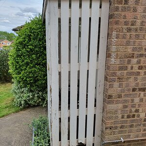 20220523_162835 (1).jpg