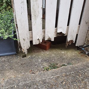 20220523_162840 (1).jpg