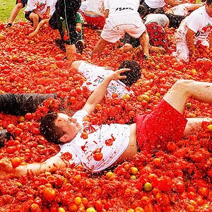 La Tomatina.jpg
