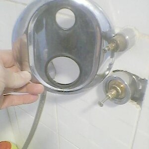 shower plate.jpg