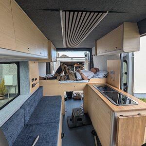 boxer interior.jpg