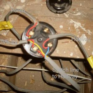 Under Floor Boards in Bedroom