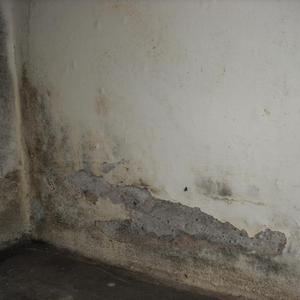 Washing Machine Corner