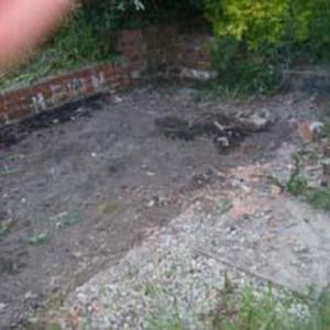 brick wall around old greenhouse