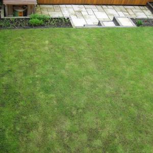 lawn2