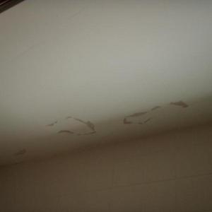 Bathroom Ceiling