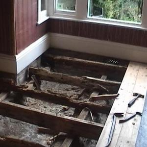Wood Rot Under floor