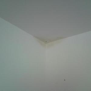 the other problem wall 2