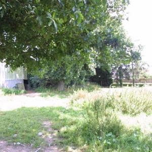 Bottom Field & Hangar