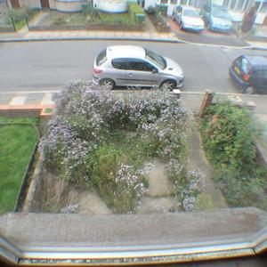 Overgrown Front Garden