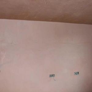 www.ngplastering.co.uk