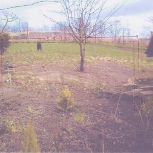 Area to be fenced, hopefully