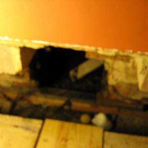 Upstairs, we discover what they are doing