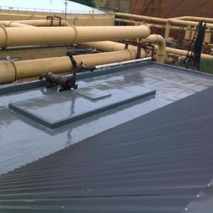 Liquid Applied Roofing