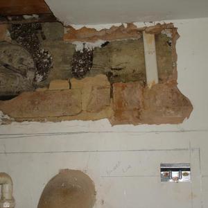 Plaster removed 2