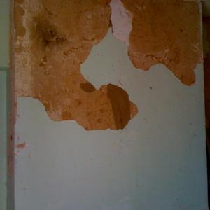 More Plaster coming away!