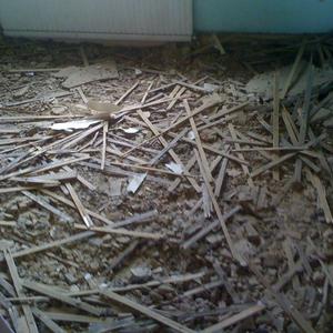 Booo got to tidy up :o(