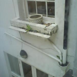 bathroom view of bedroom