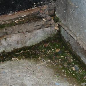 Back corner damp