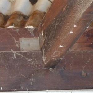 Joists at main house wall