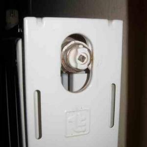 radiator bleed valve