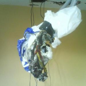 JB or Carrier bag? 2