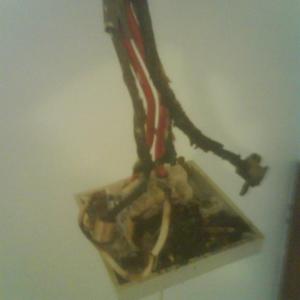 cooker caught fire 1