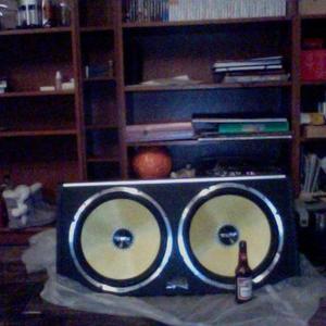 Vibe 15" Twin evo-V2