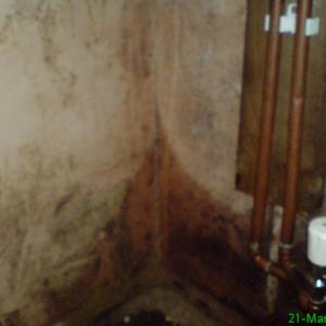 'Damp' kitchen wall.