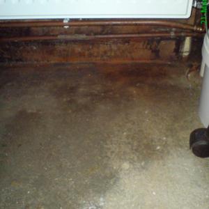 Damp wall/floor