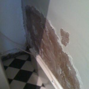 utility room damp on the other side