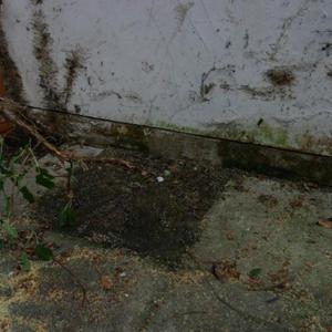 External May 29 2011