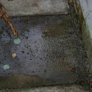 External May 30 2011