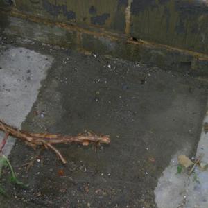 External May 30 2011