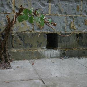 External June 4 2011