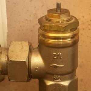 Vaillant Valve