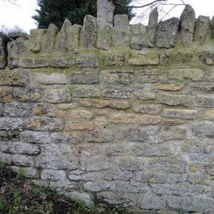 Garden Wall 1