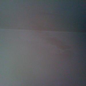 damp patch in corner of party wall