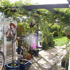 VIEW LOOKING ONTO REAR GARDEN