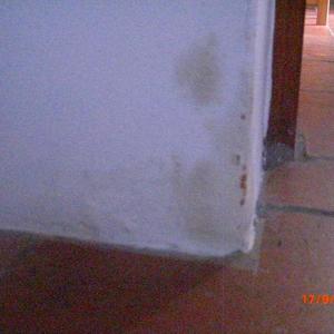 Wall damp 2