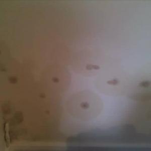 ground floor kitchen