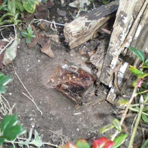 Close-up of post stub