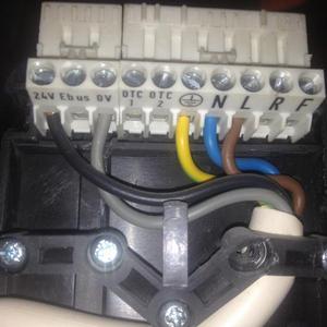 Glow-Worm Flexicom 24CX wiring interior