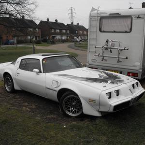 1980 pontiac firebird , transam